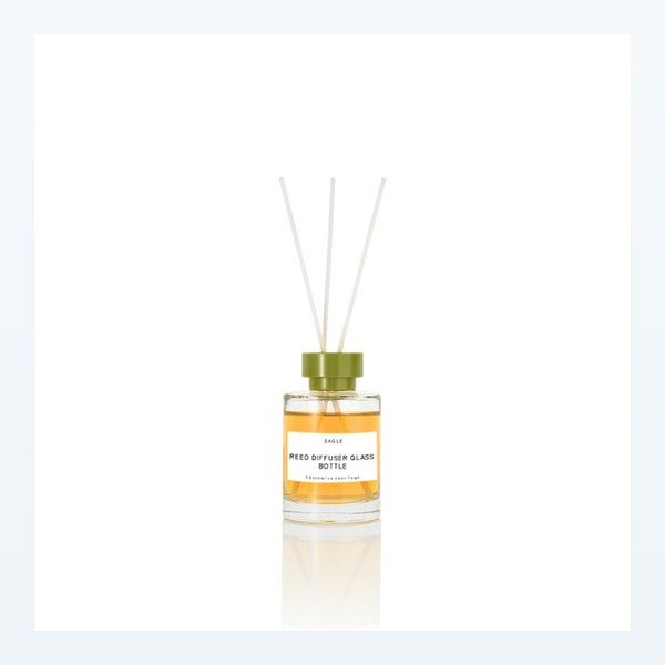 <bdi>100 ml</bdi> glass reed diffuser bottle empty & refillable, wholesale — wholesale glass packaging from Eaglebottle China factory