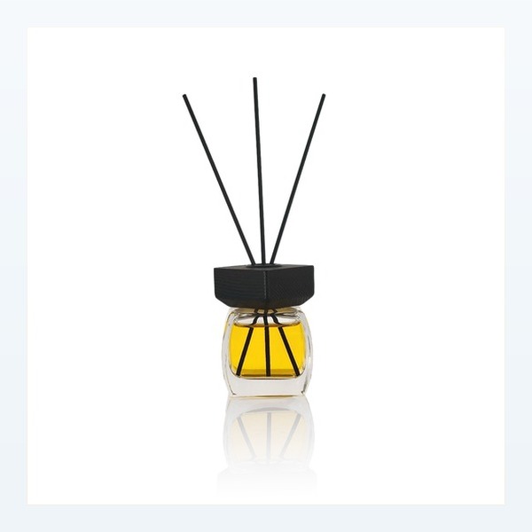 <bdi>50 ml</bdi> glass reed diffuser bottle لـ reed sticks & rattan — wholesale glass packaging from Eaglebottle China factory