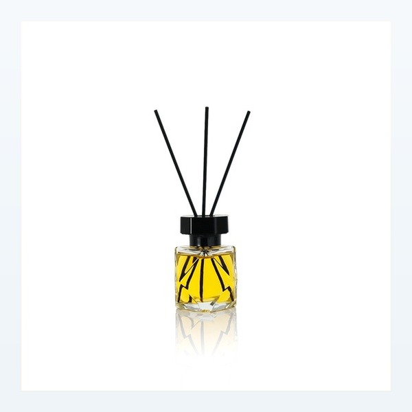 <bdi>100 ml</bdi> glass reed diffuser bottle scent diffuser bottle مع cork — wholesale glass packaging from Eaglebottle China factory