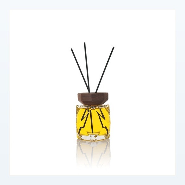 <bdi>100 ml</bdi> glass reed diffuser bottle مع collar neck — wholesale glass packaging from Eaglebottle China factory