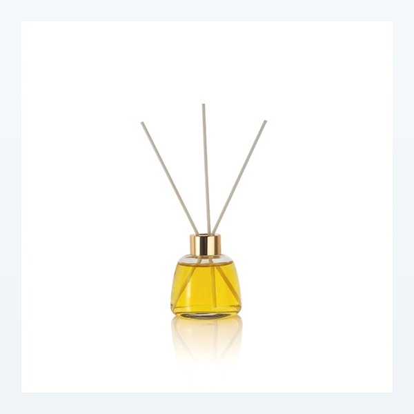 <bdi>100 ml</bdi> glass reed diffuser bottle aroma diffuser refill bottle — wholesale glass packaging from Eaglebottle China factory