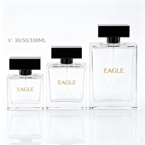 <bdi>50 ml</bdi> rectangular frosted glass perfume bottle refillable spray bottle, wholesale — wholesale glass packaging from Eaglebottle China factory